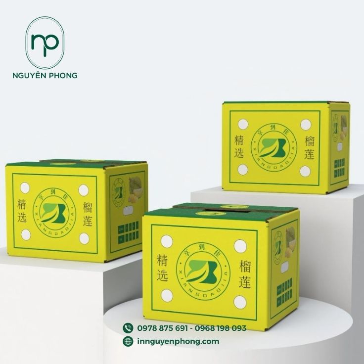 Thùng carton đựng sầu riêng phong cách đơn giản